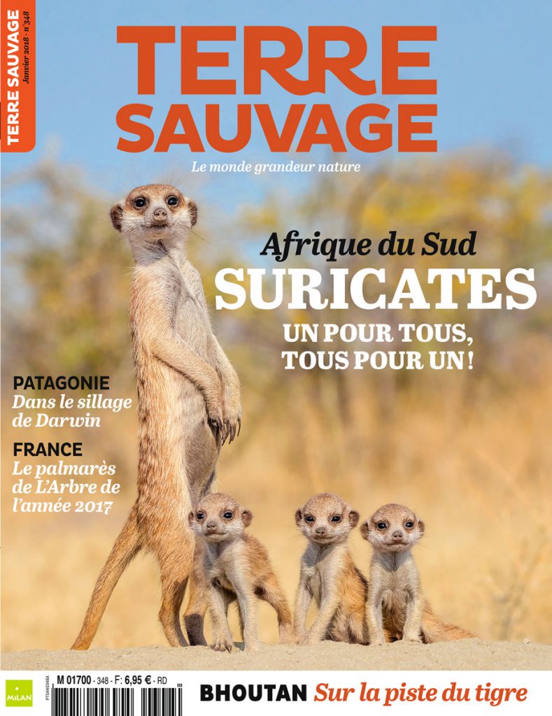 terre sauvage la revue